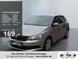 Skoda Fabia Cool Plus 1.0TSI DAB Radio Bordcomputer US - Skoda Fabia: Beige