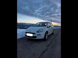 Fiat Punto 1.2 8V - TÜV NEU, Unfallfrei, 1 Besitzer - Fiat Punto von privat