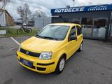 Fiat Panda 1.2 8V MyLive 1.Hand - Fiat Panda aus 2011: Allradantrieb