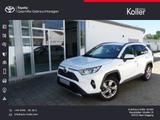 Toyota RAV4 Hybrid 4x2 Team D+Techpaket Totwinkel