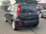 Fiat Panda Base / Klima, Radio, elektr. FH vorn, Blue - Fiat Panda in Chemnitz
