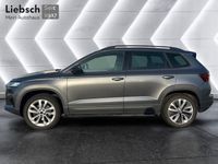 Skoda Karoq - Vorschau Bild 2