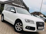 Audi Q5 2.0 TDI 120 kW quattro*AHK*NAVI*BI-XENON* - Audi Q5 in Lübeck