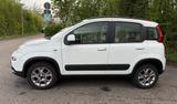 Fiat Panda 0.9 8V TwinAir WILD 4X4 Start&Stopp - Fiat Panda Gebrauchtwagen in Stuttgart