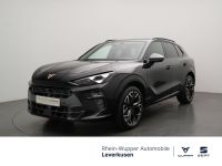 Cupra Terramar - Vorschau Bild 1