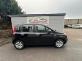Fiat New Panda 1.2 8V KLIMAANLAGE/1.HAND - Fiat New Panda Gebrauchtwagen