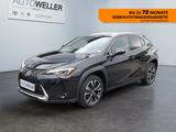Lexus UX 250h Style Edition *Bi-LED*ACC*CAM*SHZ*CarPla - Lexus UX Gebrauchtwagen