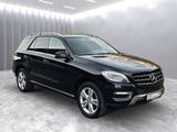 Mercedes-Benz ML 350 *2.Hand/Lückenlos bei Mercedes/Pano* - schwarze Mercedes-Benz ML-Klasse