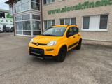Fiat PANDA 1,3 MultiJet 95 WILD 4x4 vin 535 - Fiat Panda mit Diesel-Antrieb: Allradantrieb
