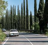 Opel Ascona - Opel Ascona Gebrauchtwagen