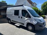 Weinsberg Caratour 541 MQ - Weinsberg Diesel Kastenwagen