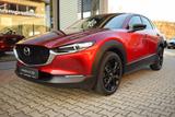 Mazda CX-30 2.5 140PS Homura Voll-LED Navi Kamera elek - Mazda CX-30 Neuwagen