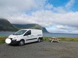 Peugeot Gemütlicher Camper Van Wohnmobil Peugeot Expert  - Peugeot Expert