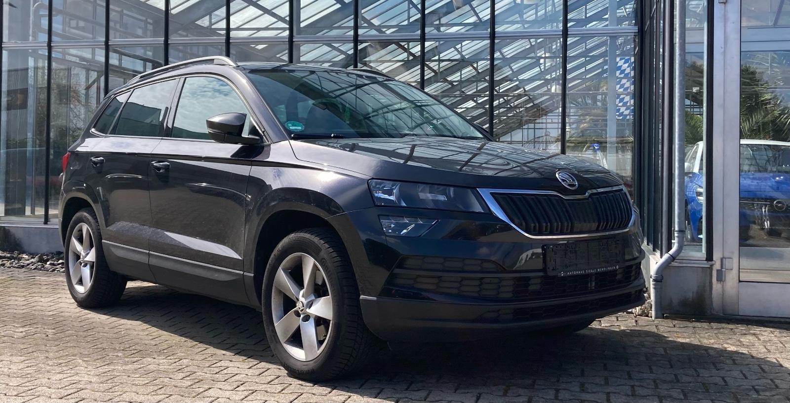 Skoda Karoq Ambition 4x4 Navi Columbus 8x Alu DAB+