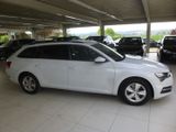 Skoda Superb Combi Ambition 2.0 TDI EU6d - Skoda Superb: Combi Eu