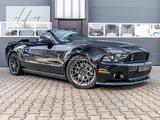 Ford Shelby GT500 Cabriolet - aus 2011: Shelby