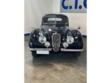 Jaguar XK 120 FHC - TOP - Jaguar XK: Coupe