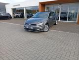 Volkswagen Golf VII 1,6TDI Comfortline BMT/Pano-D./Massage - Volkswagen Golf: Limousine, Comfortline TDI