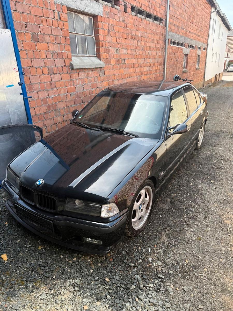 BMW 323