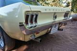 Ford Mustang GT STYLE V8 Automatik - TüV / H - Ford Mustang aus 1967