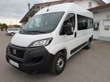 Fiat Ducato Hochr.-Kombi 33 140 L2H2 9 Sitzer Bus - : Kleinbus, 14 Sitzer
