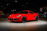 Porsche Cayman S / 'Clubsport' / Schalensitzen / Öhlins - gebrauchte Porsche Cayman aus dem Jahr 2009