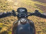 Honda Transalp XL600V PD06 - HONDA TRANSALP PD06