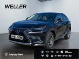 Lexus NX 300h Business Line *Bi-LED*Pano*RCam*SHZ*PDC* - Lexus: 300h