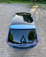 Skoda Rapid 1.2 TSI Joy Spaceback Joy - Skoda Rapid Joy mit Benzin-Antrieb