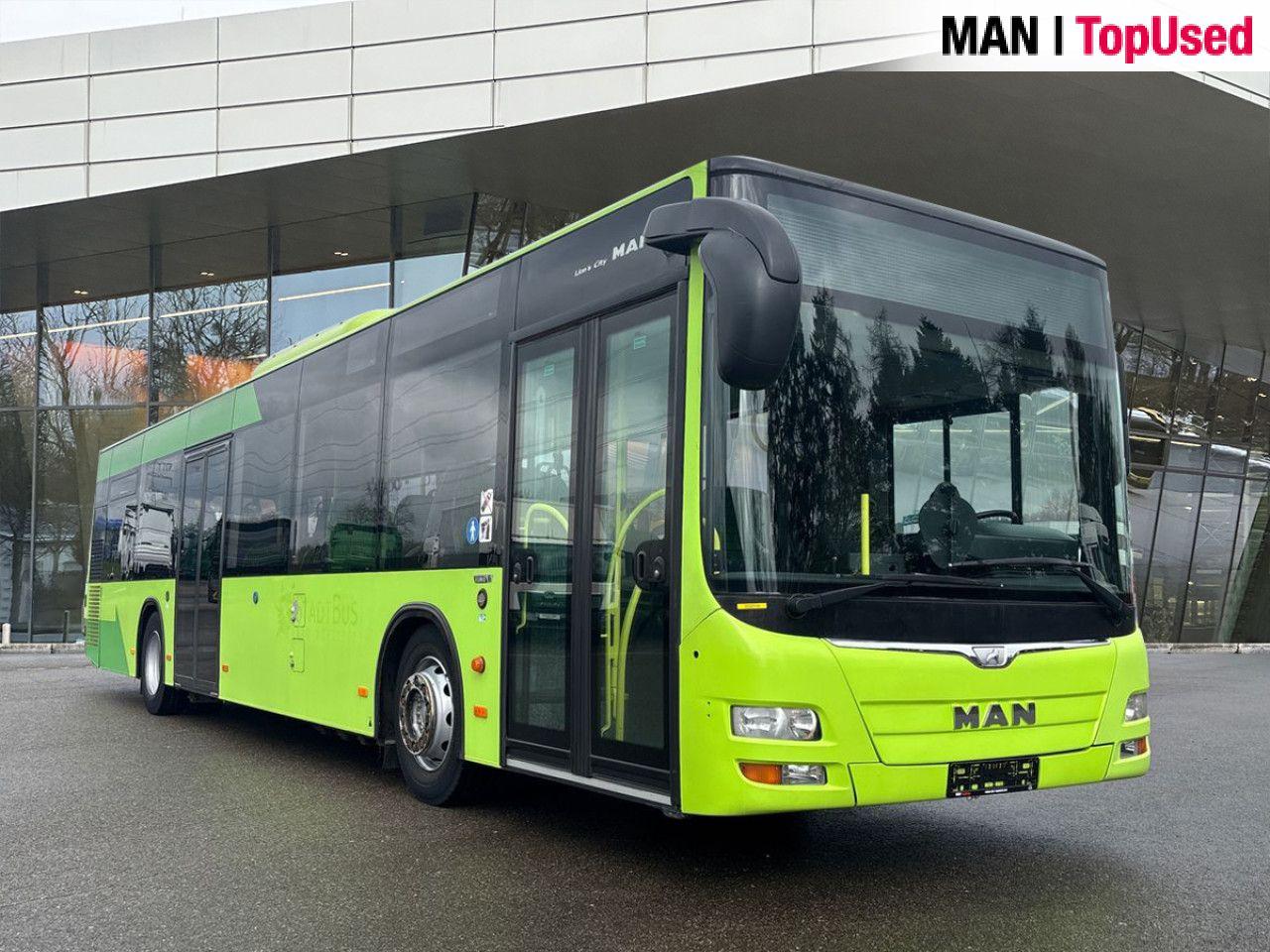 MAN LION'S CITY / A21