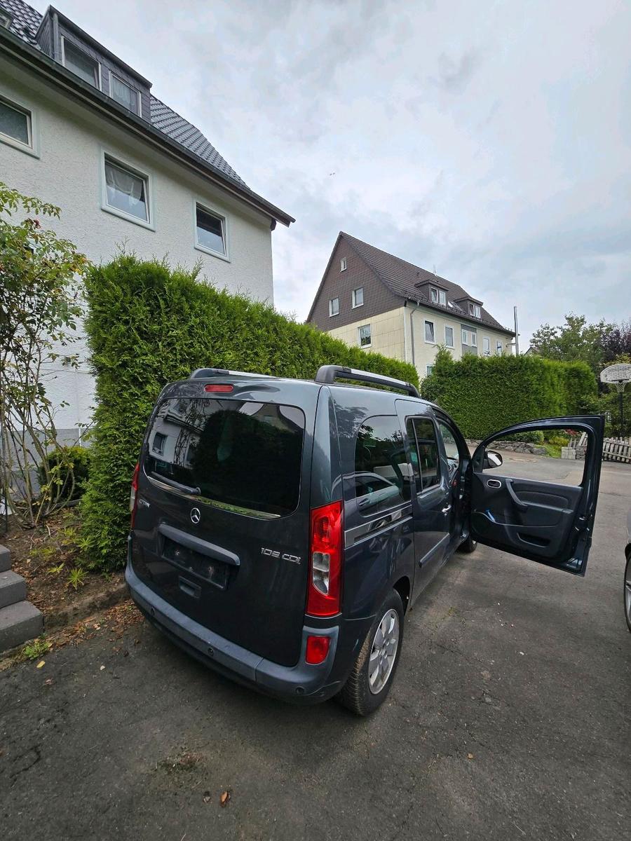 Mercedes-Benz Citan 2014 — rear view