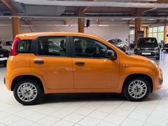 FIAT Panda Mild-Hybrid|DAB+|City-Lenkung|Klima|USB