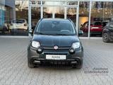 Fiat Panda Pandina Cross ***BEI ZULASSUNG BIS 31.05.2 - Fiat: 2.0