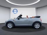 MINI Cooper Cabrio *LEDER*AUTOMATIK*SHZ*KLIMA*TEMP - graue MINI Cooper Cabrio