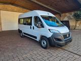 Fiat Ducato 9 Sitzer/ 10"Navi/Rückfahrkamera/Keyless - Fiat Ducato: 10