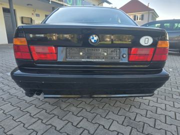 BMW 525 - 5