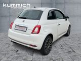 Fiat 500 1.0l 70PS DOLCEVITA 3 Jahre Garantie ab EZ - Fiat 500: 3.1