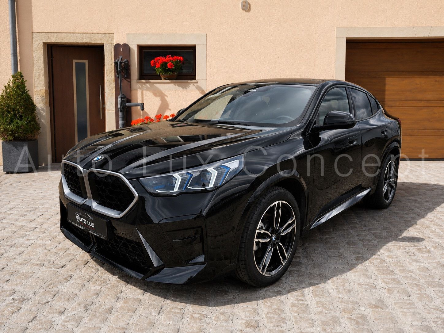 BMW X2 sDrive20d M Sport/Pano/AHK/eSitze/360°/Harman
