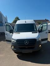 Mercedes-Benz 317 cdi