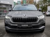 Skoda Karoq Tour 2.0 TDI DSG ACC Pano SpurH LED AHK - Skoda mit Diesel-Antrieb
