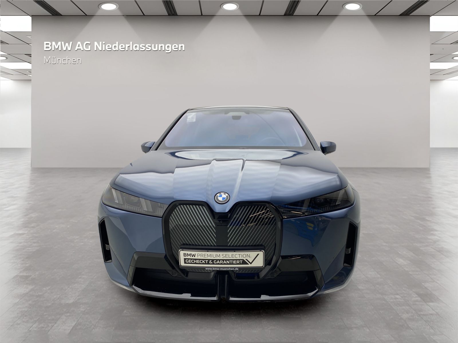 BMW iX xDrive45 M Sport Bowers & Wilkins AHK Kamera foto 4