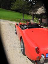 Austin Healey Andere - Austin Healey Gebrauchtwagen