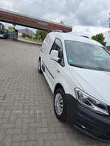 Volkswagen Caddy 2,0TDI 75kW Trendline BlueMotion Trend... - Volkswagen Caddy: Bluemotion