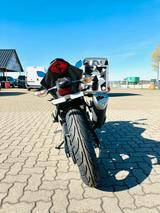 Kawasaki Ninja 125 Modell 2026 500€ Starterbonus möglich! - KAWASAKI NINJA 500