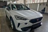 Cupra Formentor 2.0 TDI 110KW 4Drive DSG 360*ACC*VIRT - Cupra Formentor TDI Gebrauchtwagen