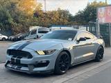 Ford Mustang GT350 5.2 VOODOO  - Ford Mustang in Hagen