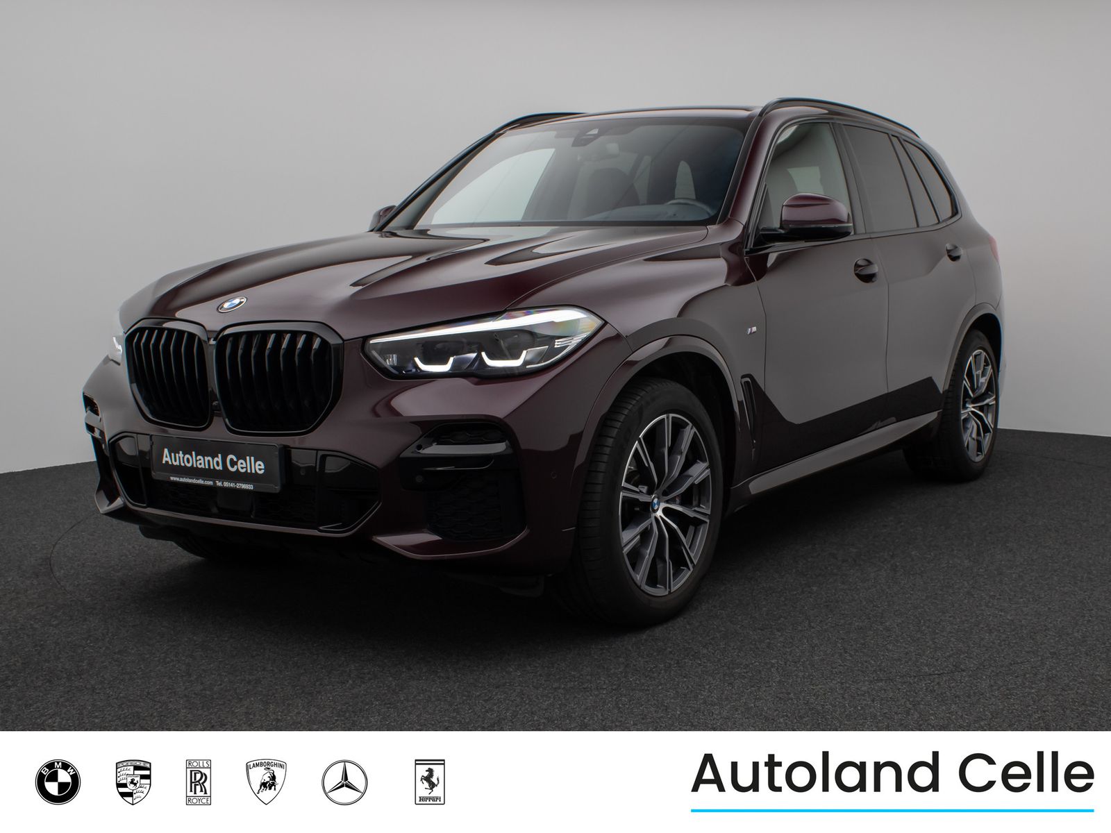 Fahrzeugabbildung BMW X5 xD30d M Sport Kamera HUD DAB HiFi AHK Alarm