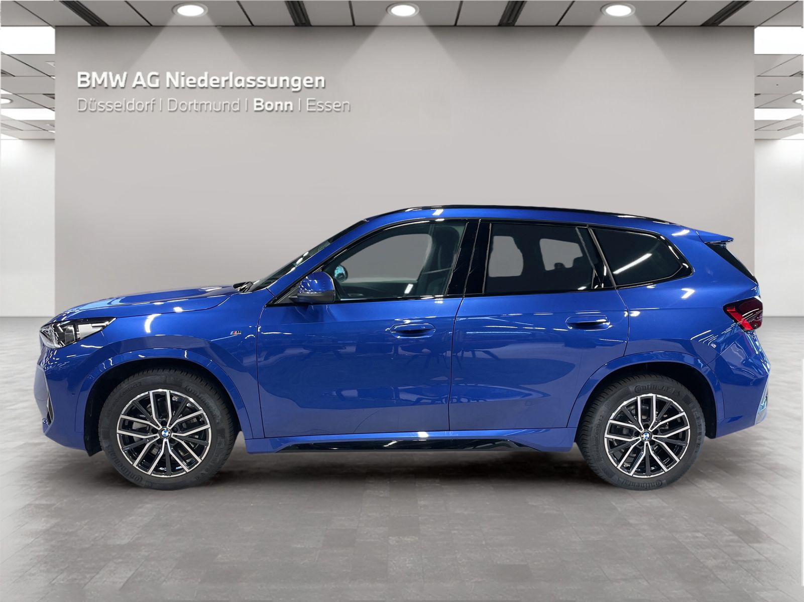 BMW X1 sDrive20i M Sport Kamera Driv.Assist LED foto 3