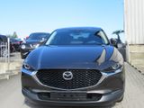 Mazda CX-30 Selection 2WD- Navi-Kamera-HUD-LED-1.Hand - Mazda CX-30 in Essen