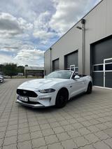 Ford Mustang 5.0 Ti-VCT V8 GT Auto GT - Ford Mustang Gebrauchtwagen in Bremen